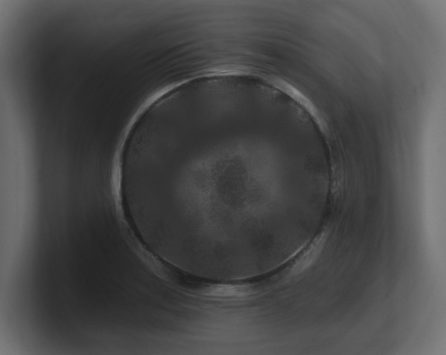 X0000101091179200806261445