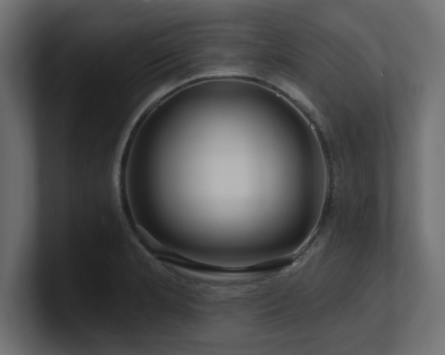 X0000101091181200806261445