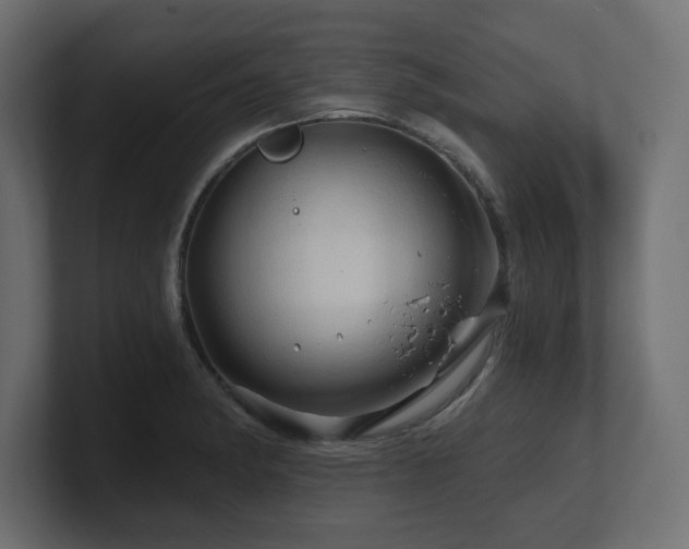 X0000101091182200806261445