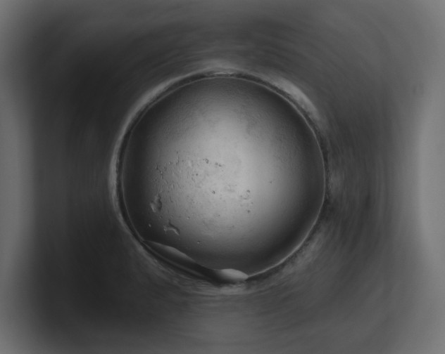 X0000101091183200806261445