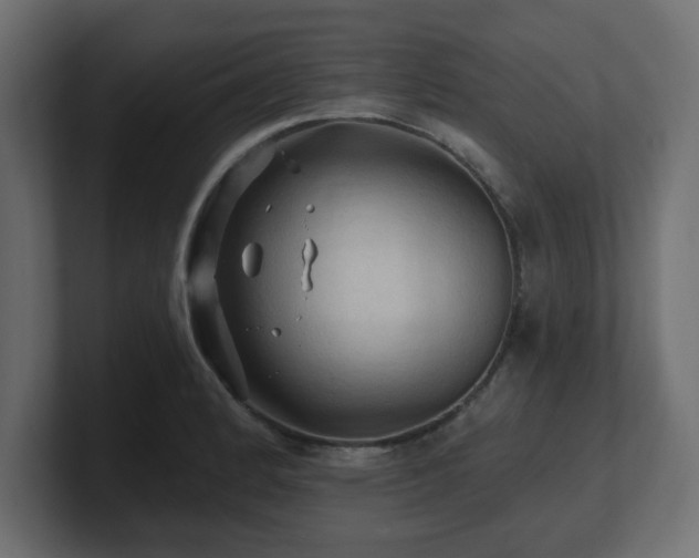 X0000101091184200806261445