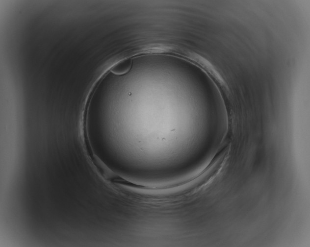 X0000101091186200806261445