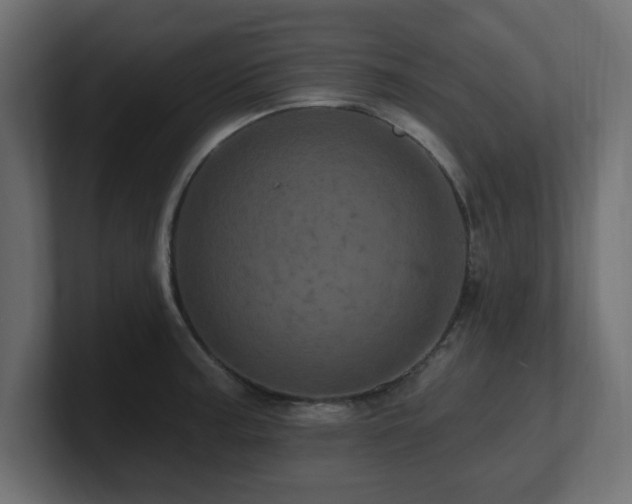 X0000101091187200806261445