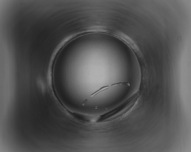 X0000101091188200806261445