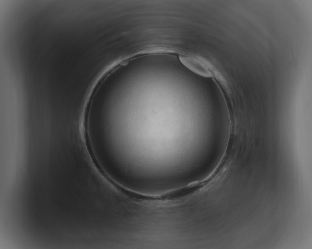 X0000101091189200806261445