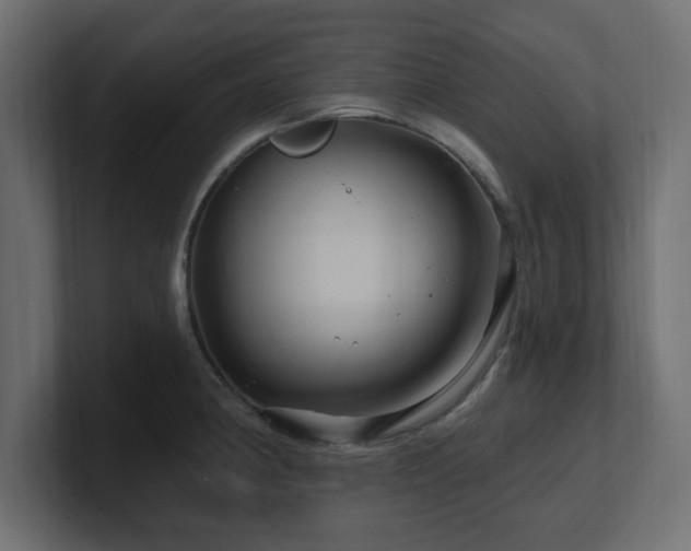 X0000101091190200806261445