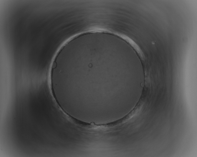 X0000101091191200806261445