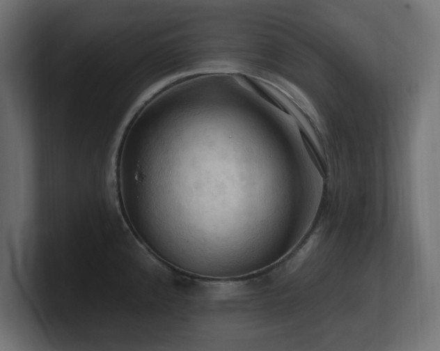 X0000101091192200806261445