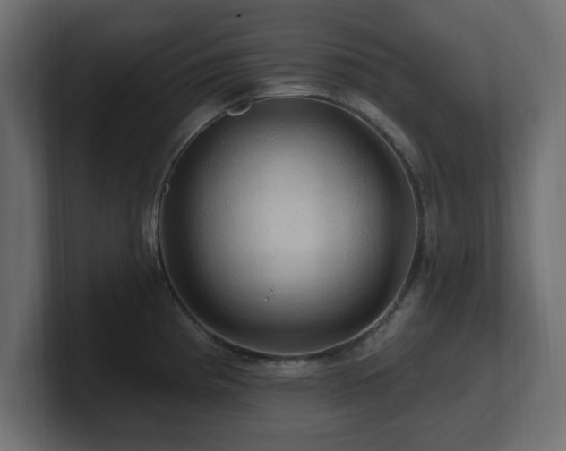 X0000101091193200806261445