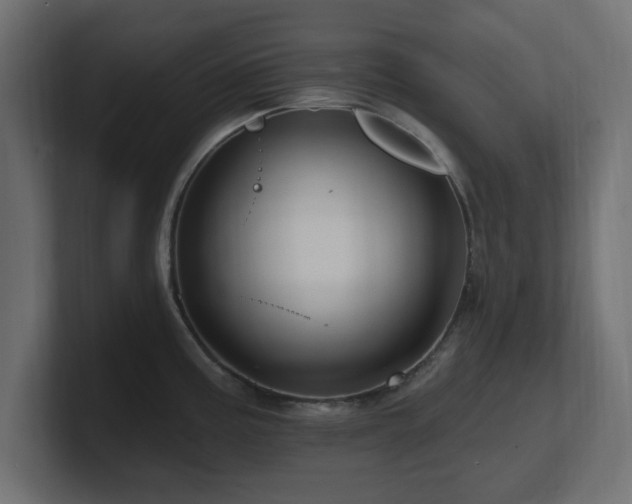 X0000101091195200806261444