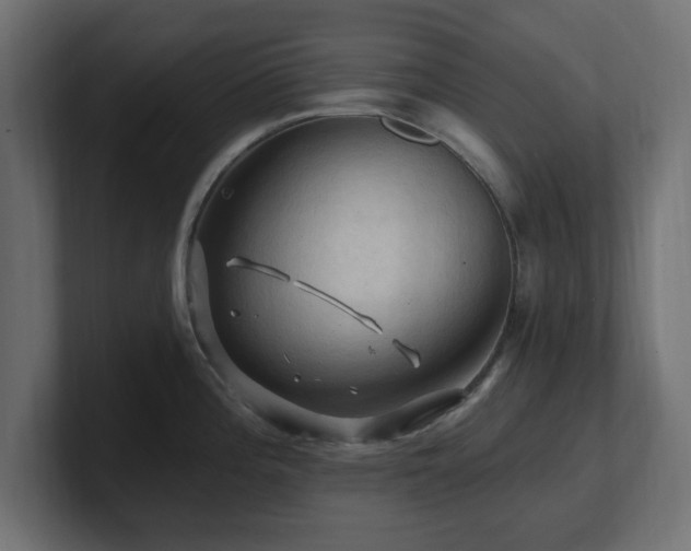 X0000101091196200806261444