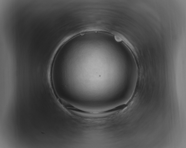 X0000101091197200806261444