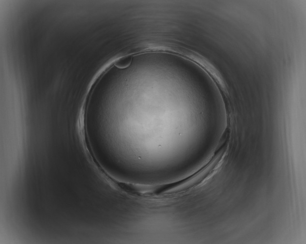 X0000101091198200806261444