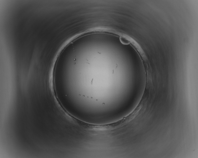 X0000101091199200806261444