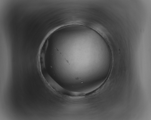 X0000101091200200806261444