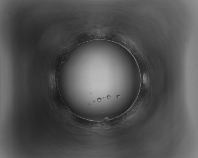 X0000101091203200806261444