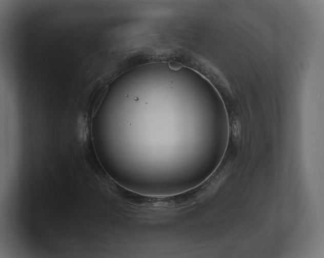 X0000101091204200806261444