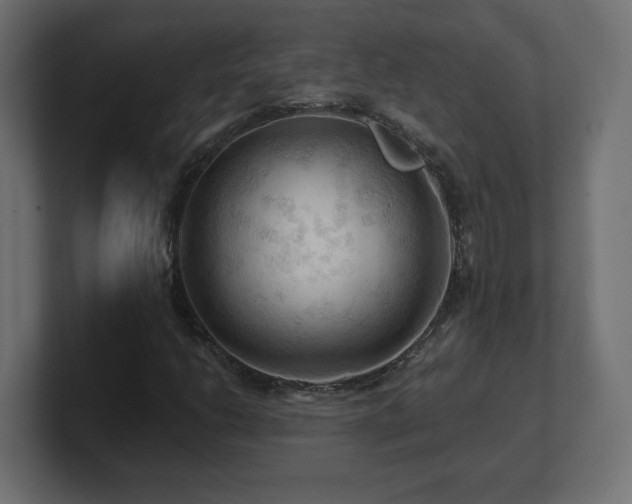 X0000101091206200806261444