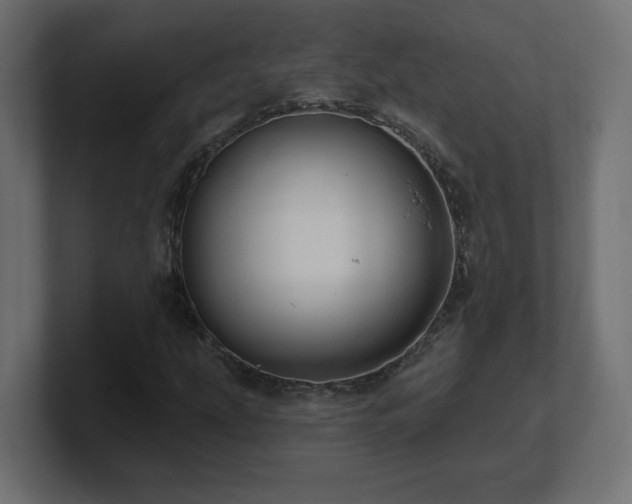 X0000101091207200806261444