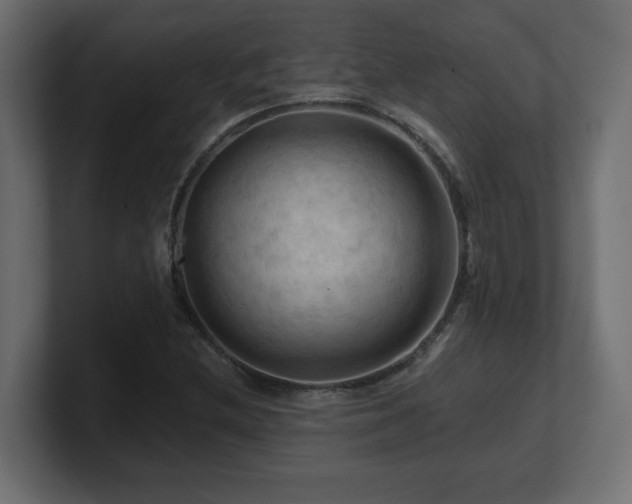 X0000101091212200806261444