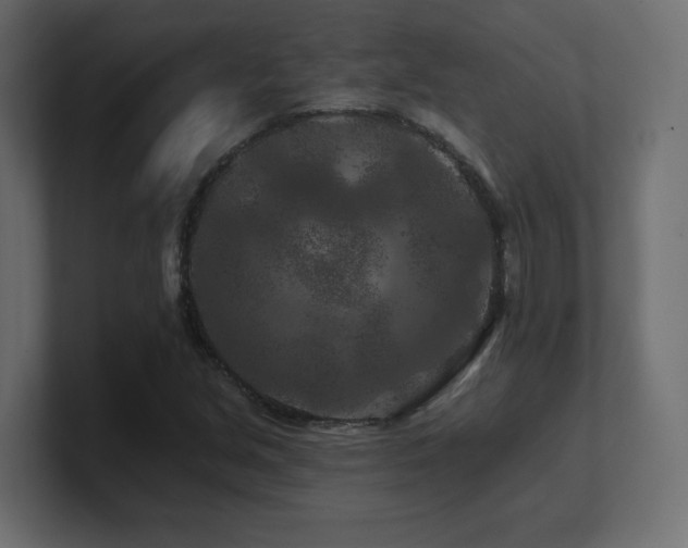 X0000101091213200806261444