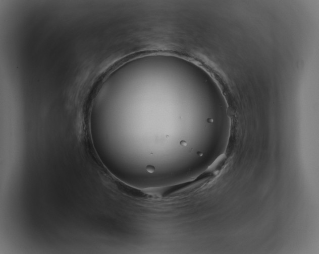 X0000101091215200806261444