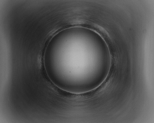 X0000101091217200806261444