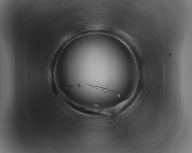 X0000101091218200806261444