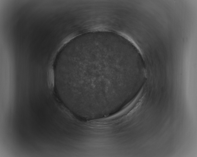 X0000101091219200806261444