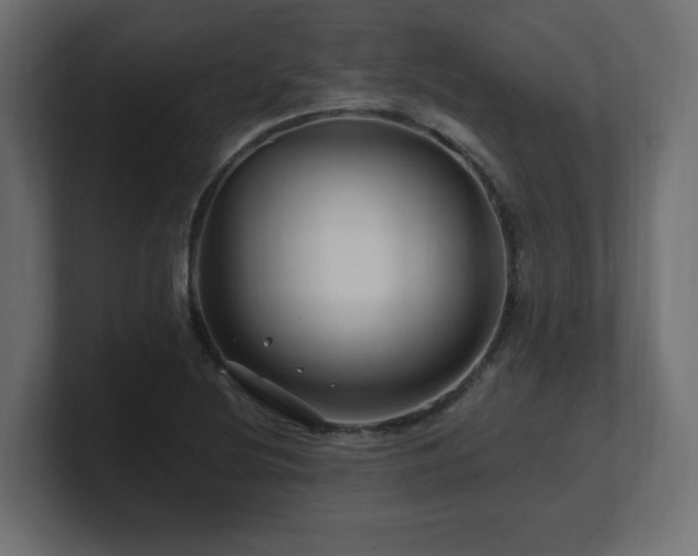 X0000101091220200806261444