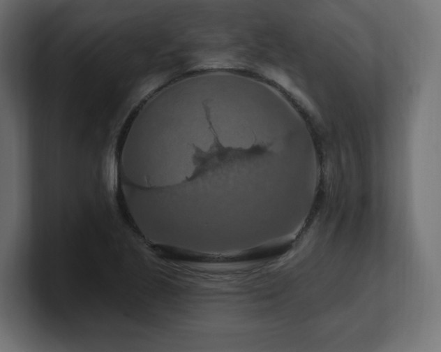 X0000101091221200806261444