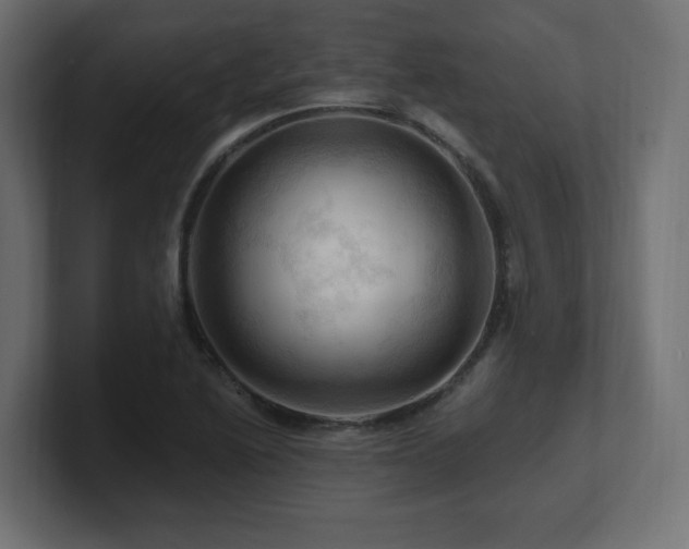 X0000101091222200806261444