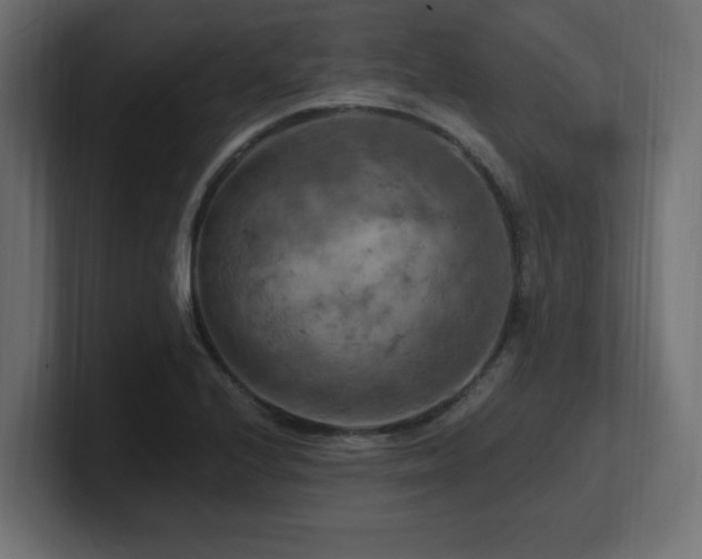 X0000101091224200806261444