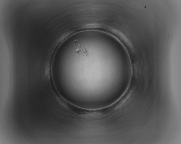 X0000101091225200806261444