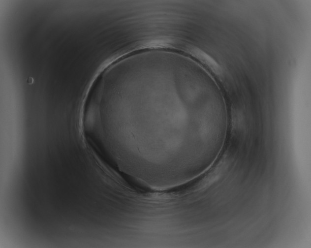 X0000101091226200806261444