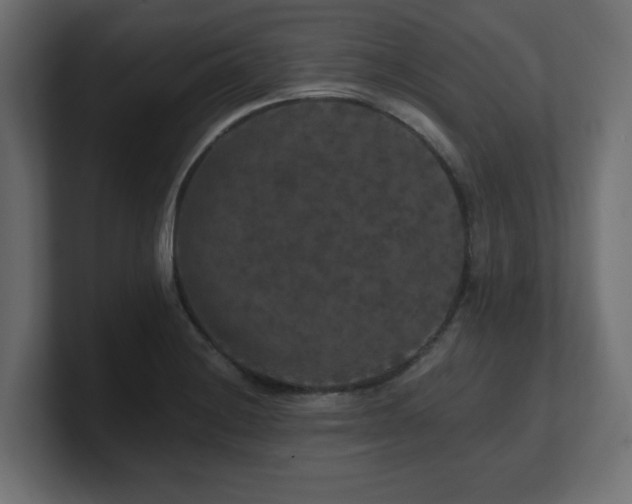 X0000101091228200806261444