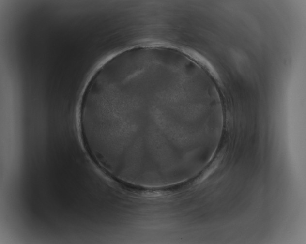 X0000101091231200806261444