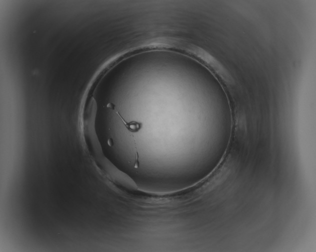 X0000101091232200806261444