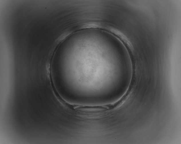 X0000101091233200806261444