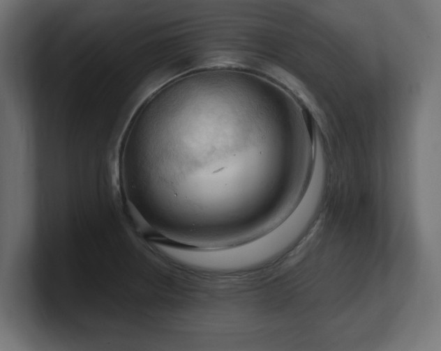 X0000101091234200806261444