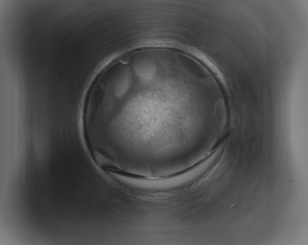 X0000101091237200806261444