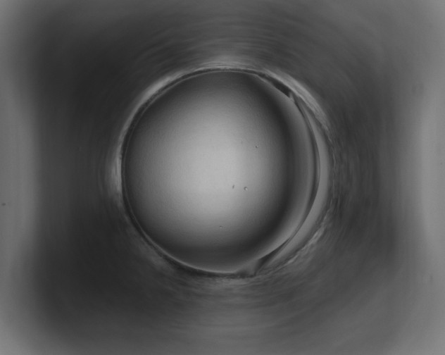 X0000101091238200806261444