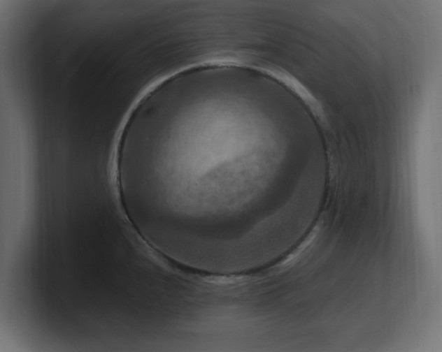 X0000101091240200806261444