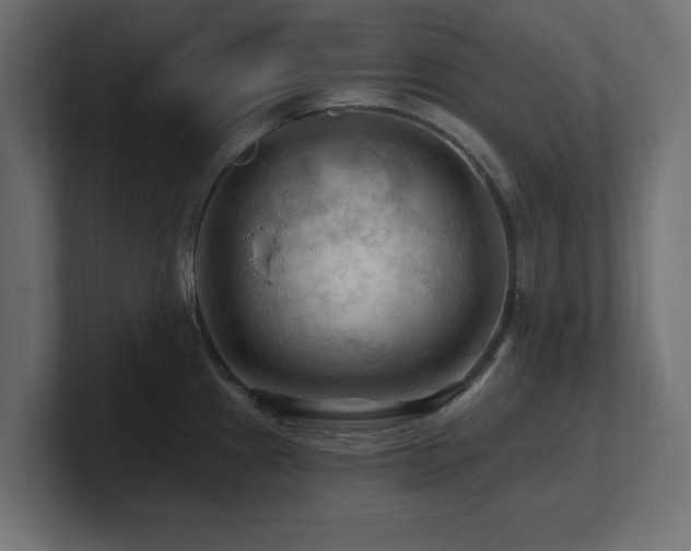 X0000101091241200806261444