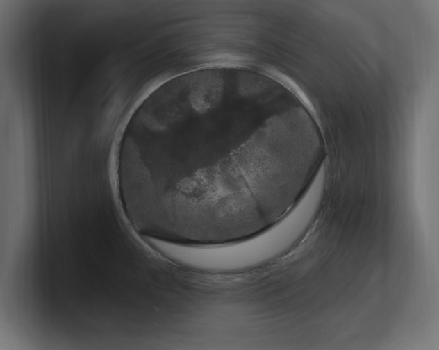 X0000101091243200806261444