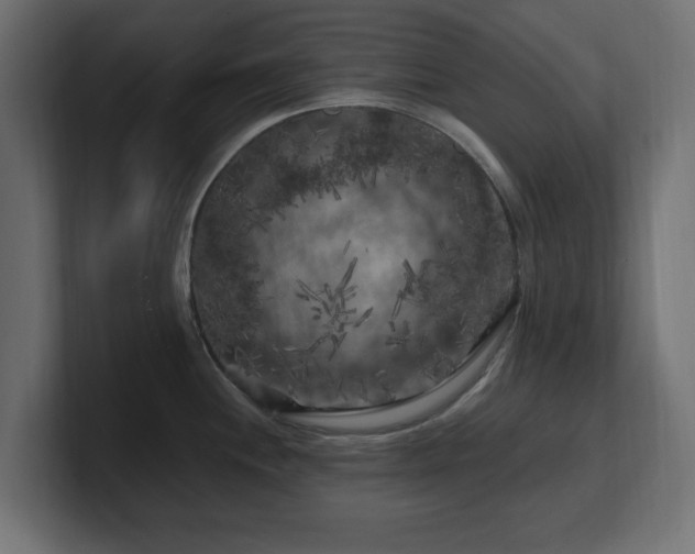 X0000101091244200806261444