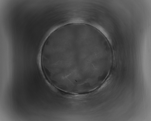 X0000101091245200806261444