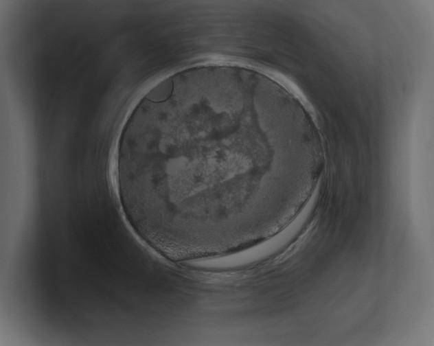 X0000101091247200806261444