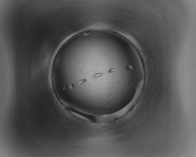 X0000101091248200806261444