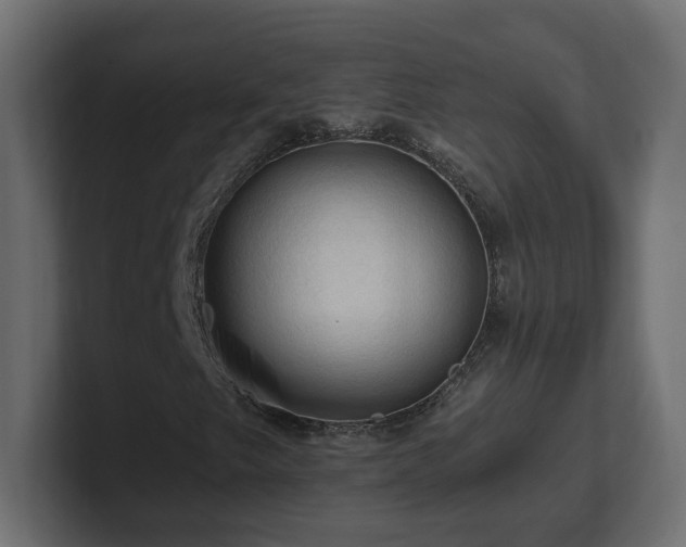 X0000101091249200806261444